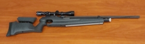 LG300