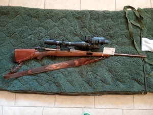 Mauser 8x57 Js