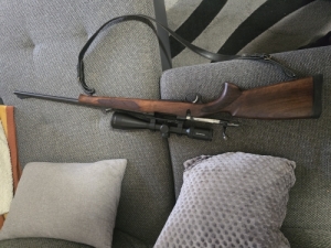 Cz550