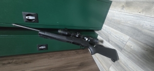 Steel Action hs 308win 