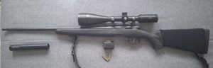 Savage B-mag 17wsm