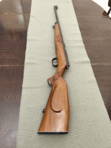 22 wmr Krico