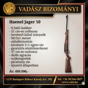 Haenel