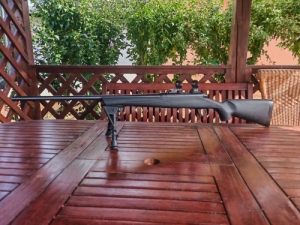 Remington m 783