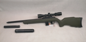 Diana R-22WMR
