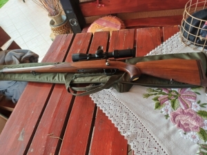 heim sl20