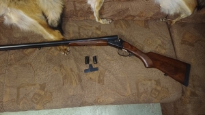 Izs43