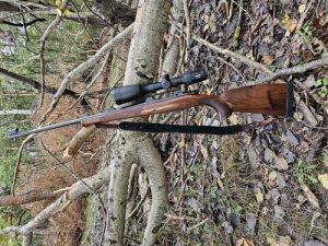 CZ 550 Medium