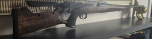 Mauser 25 MAX