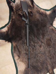 Regent 22 lr Regent 22 lr
