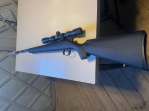 Cz