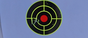 Remington 783   7mm rem mag