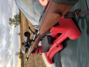 Cz557
