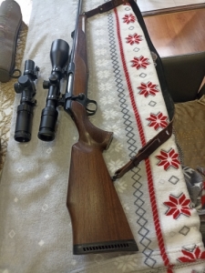 Sauer Sauer