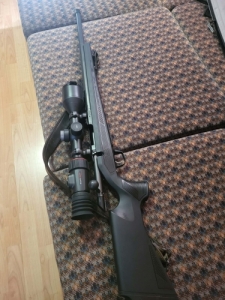 CZ 600 alpha 6.5 PRC