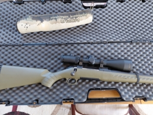 Ruger american