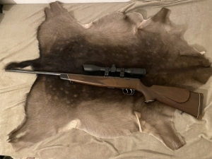 Krico 22WMR