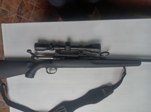 Savage 223