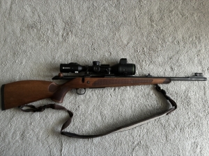 Cz 600