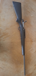 Ruger American