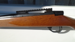weatherby vanguard 308win