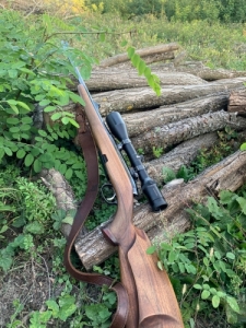 Steyr-Mannlicher Classic